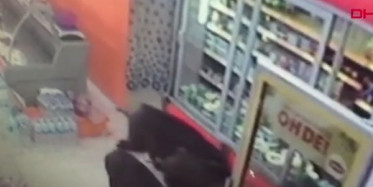 Yiyecek Bulmakta Zorlanan Domuzlar Markete Girdiler