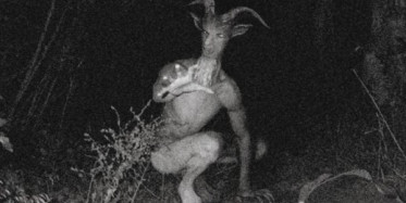  Görenin Dönüp Bir Daha Baktığı İlginç Yaratık İçin Kıyamet Alameti Deniliyor!