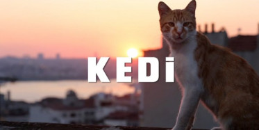 İşte Yılın En İyi Bağımsız Türk Filmi