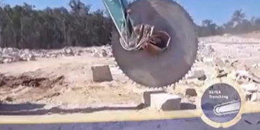 Dev Testereyi Görenler İnanamıyor!