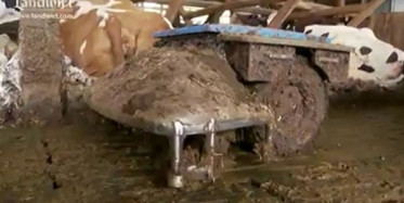 Her Ahıra Bundan Bir Tane Lazım