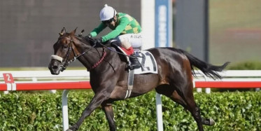 Adana'da At Yarışında İnanılmaz Kaza!