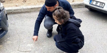 Adıyaman'da Tırtıl Sürüsünün Yolculuğu Dikkat Çekti