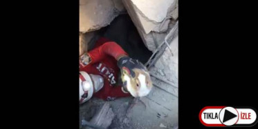 AKUT Enkaz Çalışmalarında Tavşanı Kurtardı