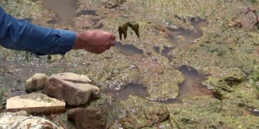 Alibeyköy Barajına Akan Kirli Dere Vatandaşın Sağlığını Kötü Etkiliyor