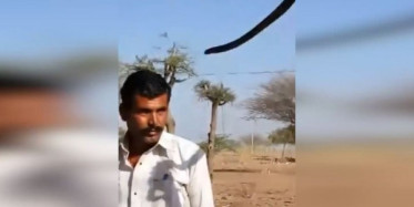 Gösteri Sırasında Yılanın Soktuğu Adam Hayatını Kaybetti!