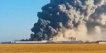 Almanya'da Hayvan Çiftliğinde Yangın Çıktı