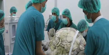 Midesini Açtılar Bakın İçinden Neler Çıktı