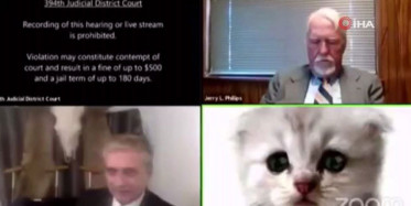 Amerika'da Online Duruşmada Filtre Kazası Viral Oldu