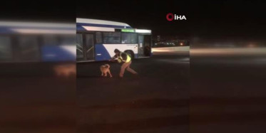 Ankara’da Otobüs Şoförü ve Köpeğin Eğlenceli Anları Sosyal Medya Gündem Oldu