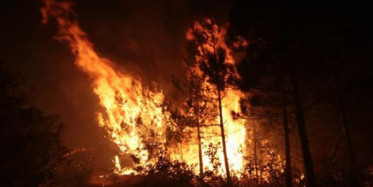 Antalya’da Eş Zamanlı Orman Yangınları 