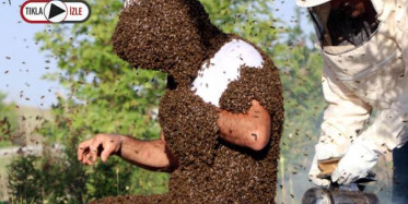 Arı Adamdan Rekor Denemesi