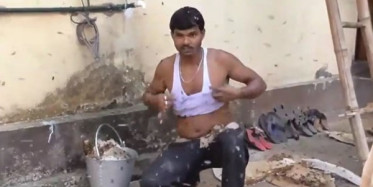 Arılarla Korkusuzca Oynayan Adam