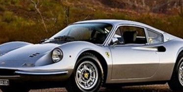 Arka Bahçelerinde Çıkanlar Şok Etti!