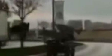 Küçükçekmece'de Sahipsiz At Ortalığı Karıştırdı