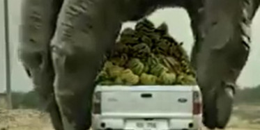 Bu Reklamı Görünce Bizdeki Reklamlar Nedir Diyeceksiniz