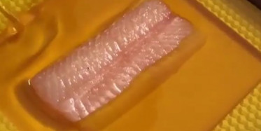 İnanamıyorum Balığın Böyle Yenilebildiğini İlk Defa Görüyorum 