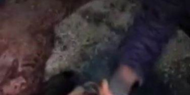 Yaralanan At Saatlerce Tedavi Olmayı Bekledi