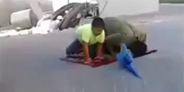 Ateist Joe'nun Papağını - Hollywood Dublaj