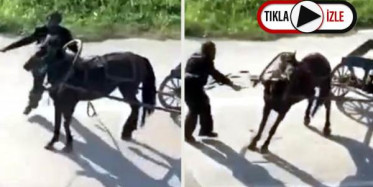 Bursa'da Sokak Ortasında Ata Eziyet Etti