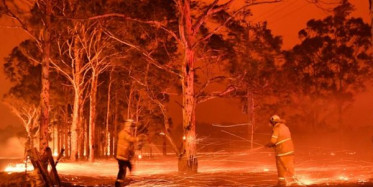 Avustralya'da Yangınların Bilançosu Artıyor
