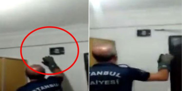 Avcılar'da Apartmana 1 Metre Boyunda Yılan Girdi