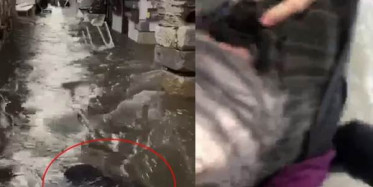 İzmir'de Tsunamiyi Görüntülerken Suda Sürüklenen Babaannesini Gördü