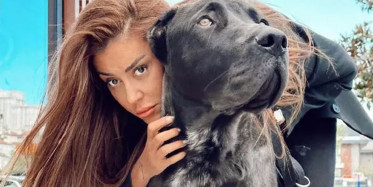 Banu Parlak'ın tasmasız köpeği yavru bir köpeği parçaladı! Görüntüler ifşa olunca kapısına dayanıp tehdit...