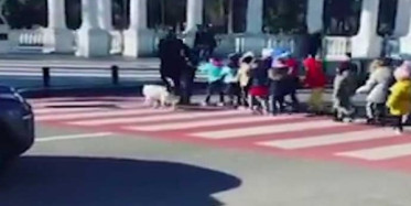 Gürcistan Batum'da Sokak Köpeği Çocukları Karşıdan Karşıya Geçirdi