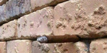 Bu Fotoğrafları Anlamak İçin İki Kez Bakmanız Gerekecek!