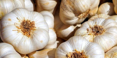 Bir Adam Her Gün Aç Karnına Sarımsak Yedi Bakın Yedikten Sonra Ne Oldu!