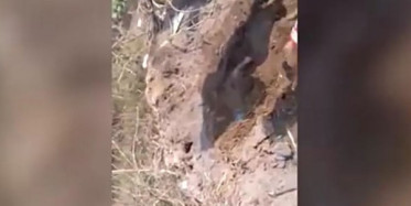 Yeni Doğan Bebeği Canlı Canlı Toprağa Gömmüşler!
