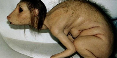 Kuran Yaktı Diye Bilinen Kız Bakın Gerçekte Neymiş