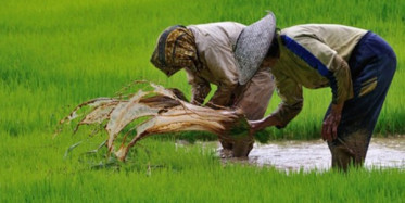 Bu İnsanlar Bu İşleri Nasıl Yapıyorlar