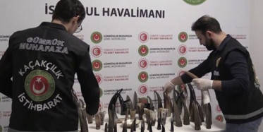 İstanbul Havalimanı'nda Bufalo Boynuzu Operasyonu