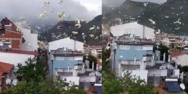 Çanakkale'de Fırtına Nedeniyle Evin Çatısı Uçtu