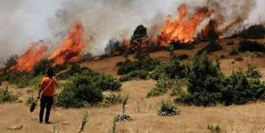 Ciğerimiz Yanıyor! Havadan ve Karadan Müdahale Ediliyor