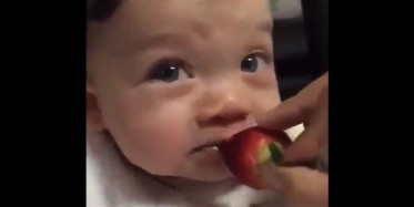 Çileğin Tadını Alan Ufaklık