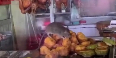 Çin'de Restoran Mutfağında Çekilen Farenin İlginç Görüntüleri!