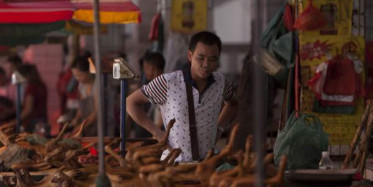 Çin'de Köpek Eti Festivali Başladı