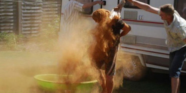 Danimarkalı Genç Gelenekleri İçin Az Kalsın Canından Oluyordu!