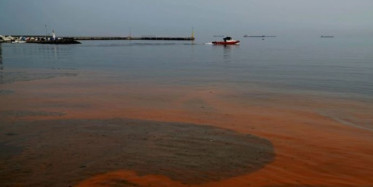 Marmara Denizinin Rengi Değişti!
