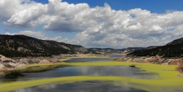 Denizli'de Baraj Göleti Üzerinde Oluşan Yeşil Tedirgin Etti