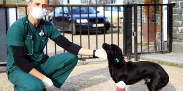 3 Boyutlu Yazıcı Mucizesi