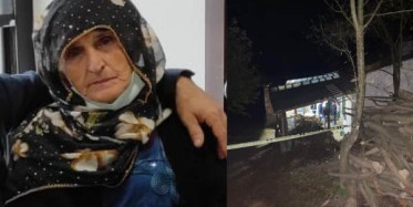 Ordu'da Yaşlı Kadın Domuz Bağıyla Öldürüldü