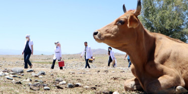 Erzurum'da Aşı Timleri,  Çobanlara Aşı Yapmak İçin Zorlu Yolları Aştı