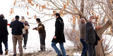 Erzurum’da Engelliler, Kuşlar İçin Ağaç Dallarını Ekmeklerle Donattı