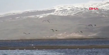 Erzurum’da Kuşlar İçin Binlerce Ekmeği Suya Bıraktılar