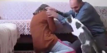 Eşine Şiddet Uygulayan Adamı Durduran Kedi!