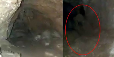 Mağara'da Esrarengiz Bir Canlı Görüldü